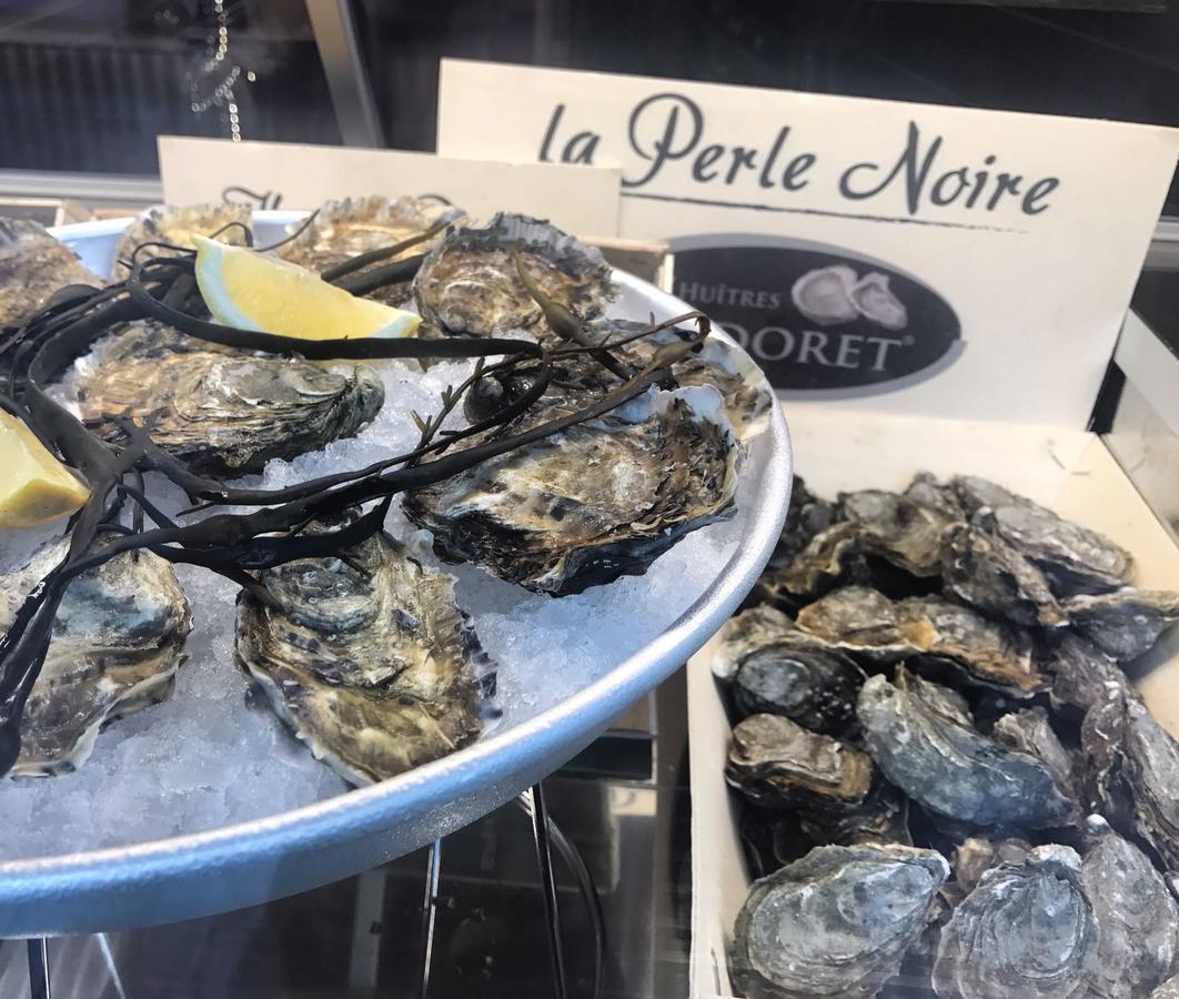 Opera Chambre & Gourmet 비테르보 외부 사진